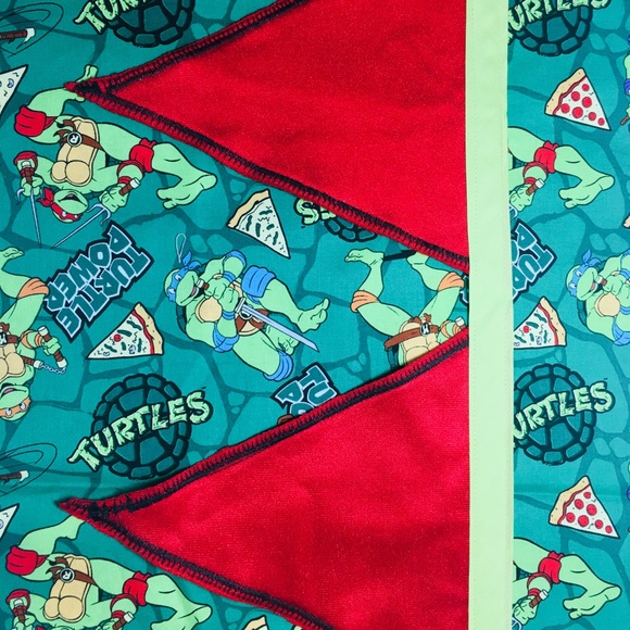Ninja Turtle Fabric Handmade Banner - Picture 4 of 9